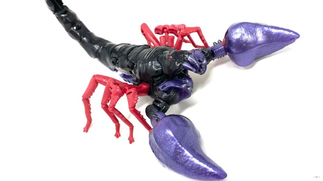 Transformers Legacy Scorponok And Parasite In Hand Image  (7 of 25)